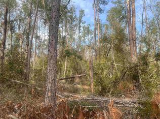 14th Trce, Live Oak, FL 32060