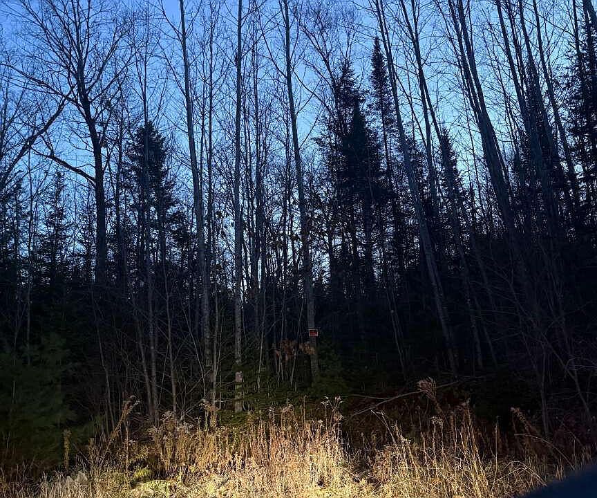 1st image of Lot 3 Ariel Street