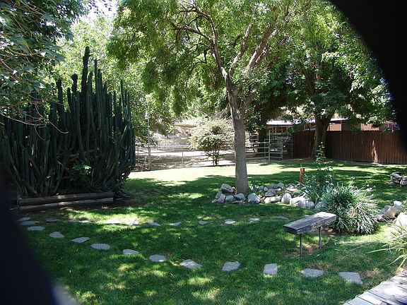 Serene back yard