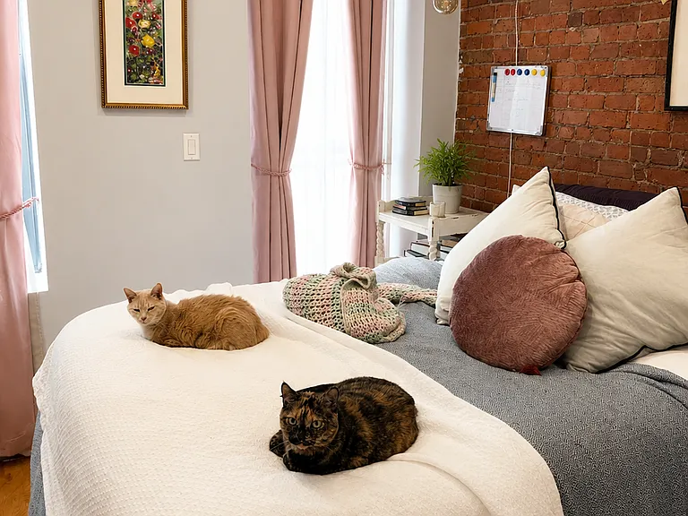 209 Irving Ave #3 — Photo 7