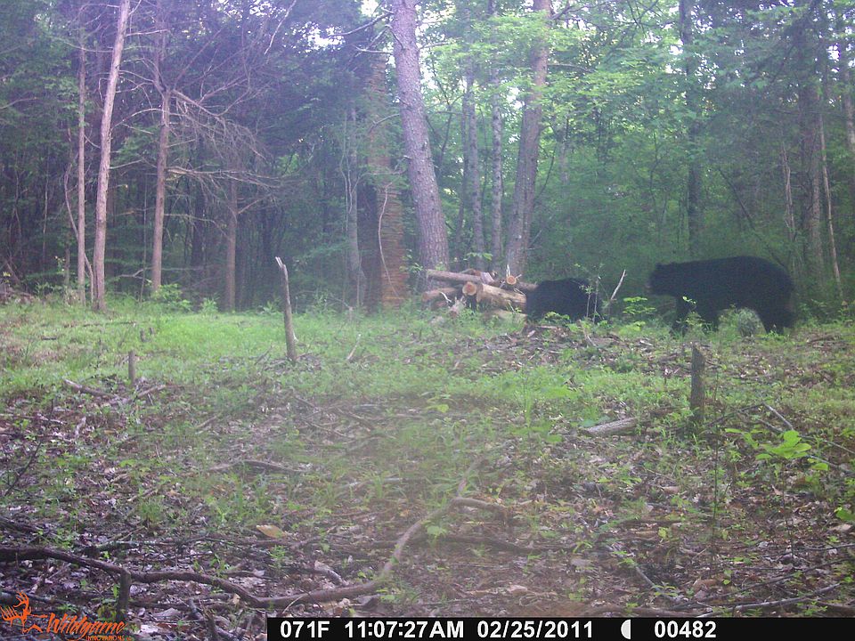 2nd image of 53.6 Acres Of Land #248 A 15