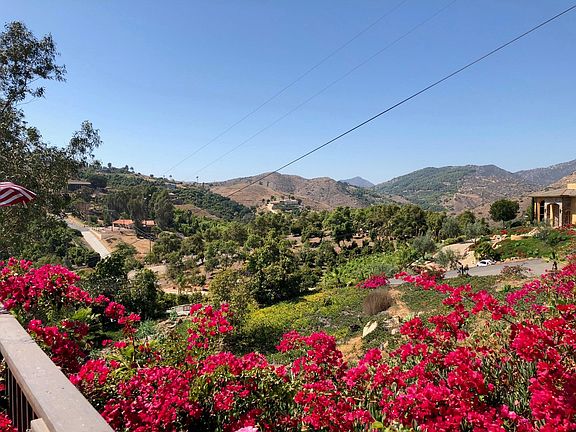 View from front deck
