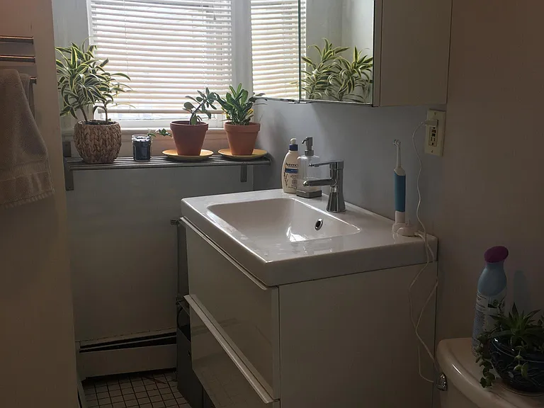 5 Moseley St #3 — Photo 7