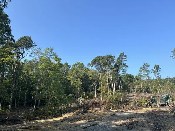 Lots 1 2 3 998 Hanlin Rd, Bruceton Mills, WV 26525