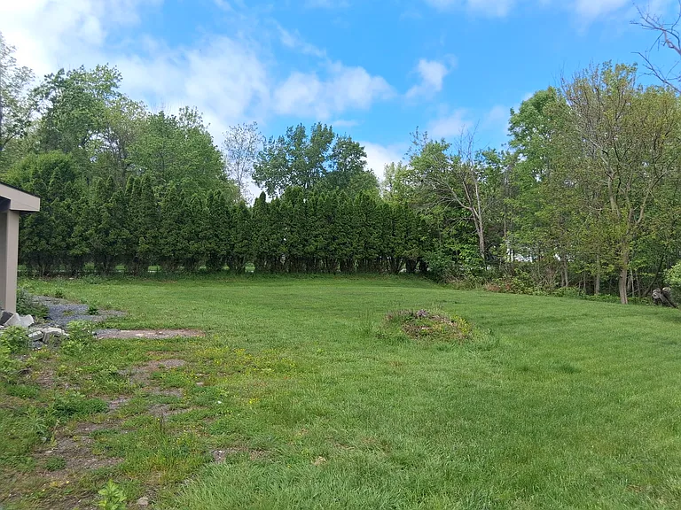 Exterior Back Yard