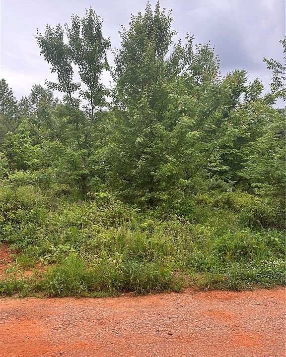 2nd image of LOT 25 November Ln