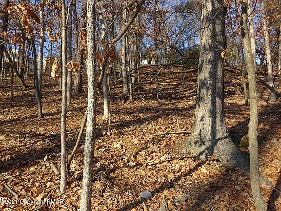 2nd image of 86 Woodcrest Dr