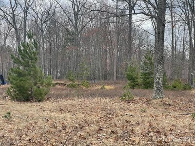 Tbd Tipperary Rd, Gladstone, MI, 49837