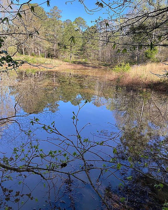 One of two ponds here