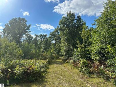 5304 S Brown Rd, Cadillac, MI, 49601