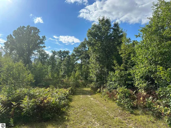 5304 S Brown Rd, Cadillac, MI 49601