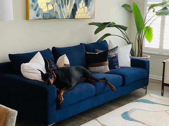 5th image of 11211 Side Saddle Dr