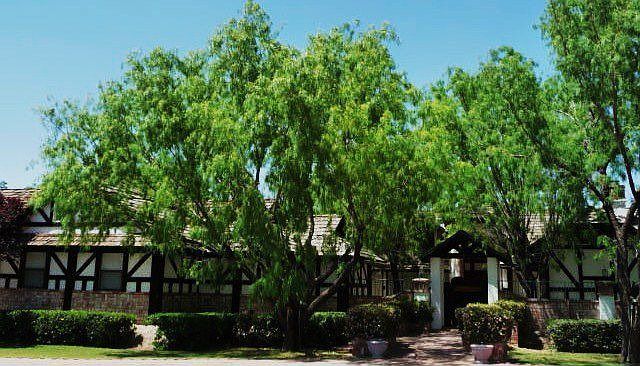 Beautiful Home on 1 Acre 