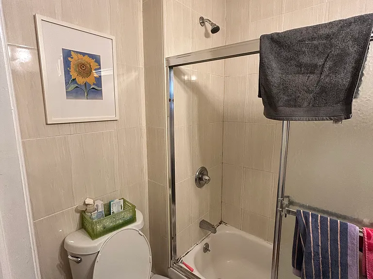 263 Nostrand Ave #2F — Photo 9