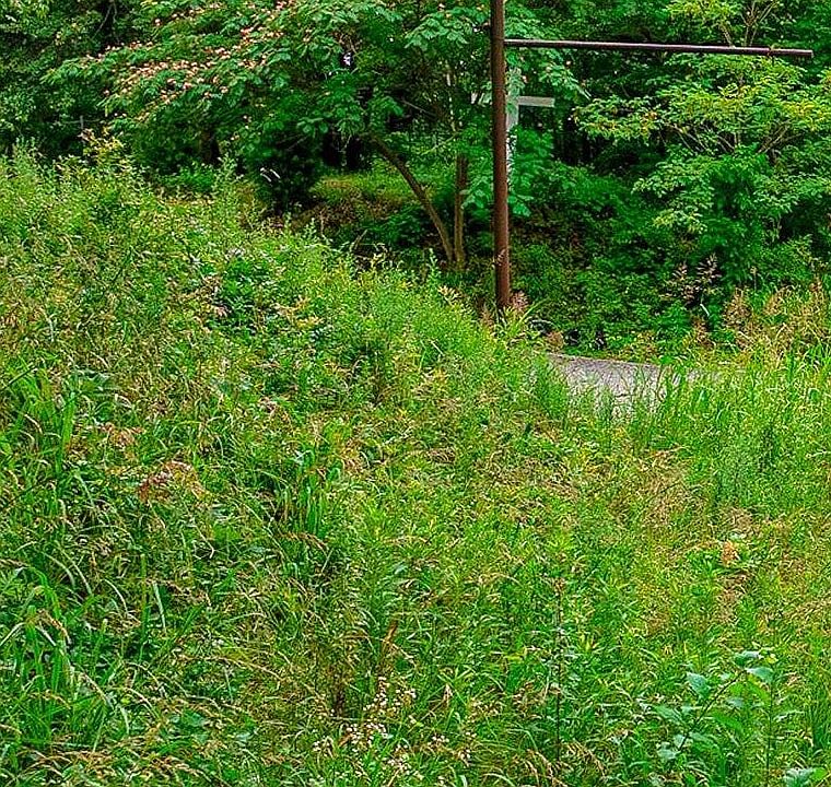 2nd image of 1107 Walk Pl Lot 7