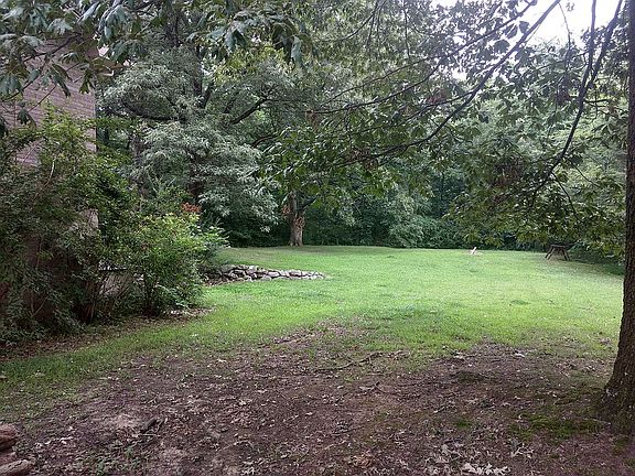 Backyard 1
