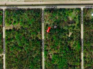 10020 Gregory Ave, Hastings, FL 32145