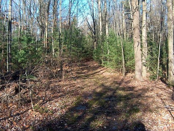 Trail down to pond