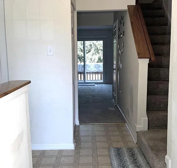 4989 Pintail Ct — Photo 3