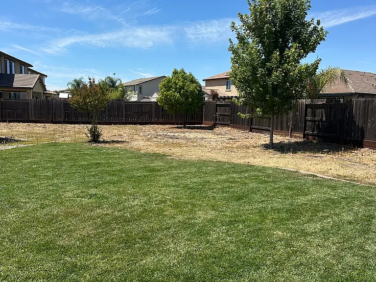 9917 Lorae Way — Photo 15
