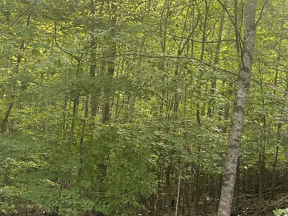 5th image of 37 Mountain Valley Ln