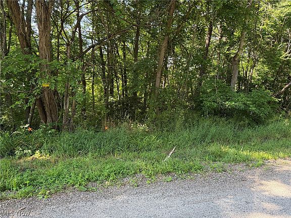 2nd image of 0 Fisher Ridge Rd Tract 6