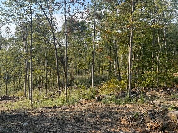 5th image of 0 Wagoner Rd