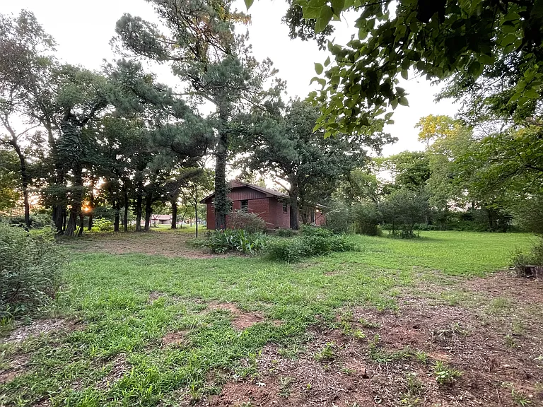 back yard and side yard