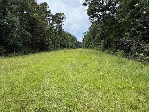 5th image of County Road 1202 Old Town Rd