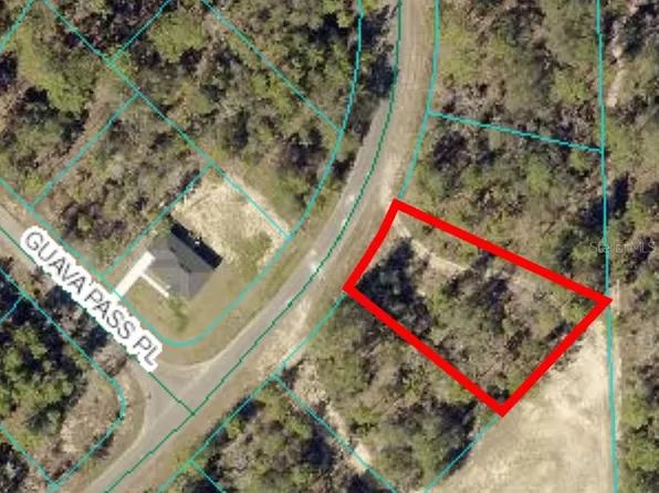 164 GUAVA PASS LOT 10, OCKLAWAHA, FL 32179