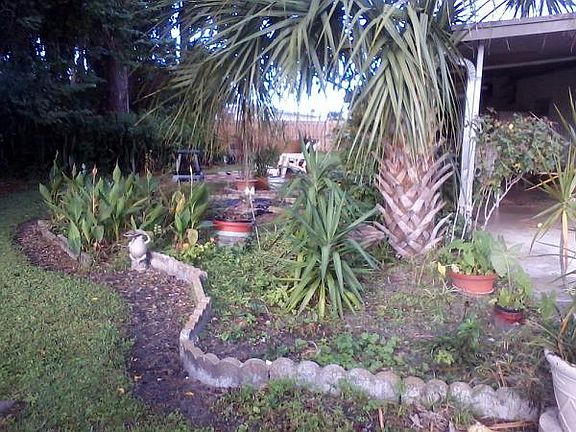 Garden next to the carport