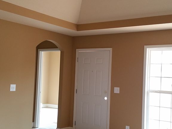 Living room with tray ceilin
