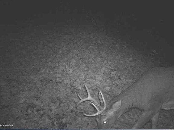 3rd image of 722 County Road 14 NE