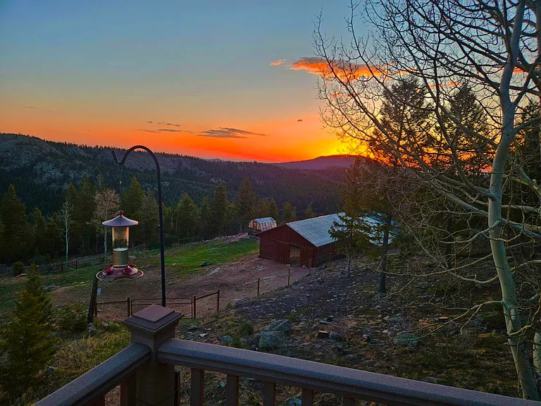 10228 Christopher Dr — Photo 22