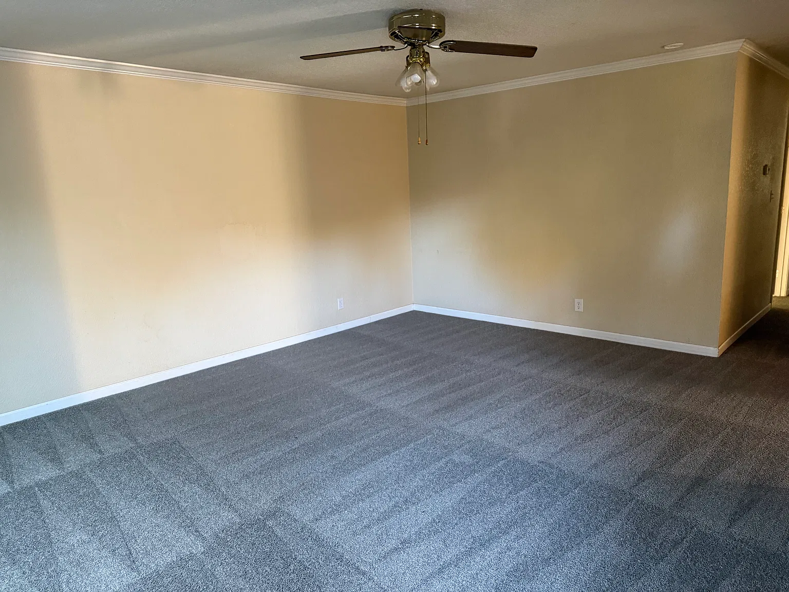 3 bed, 1280 sqft, $3,100 — Photo 4