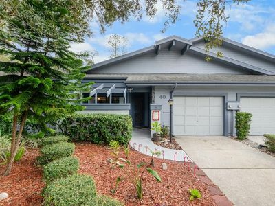 40 Morning Dove Pl, Oldsmar, FL, 34677