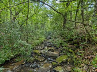 Burville Rd, Sunbright, TN 37872