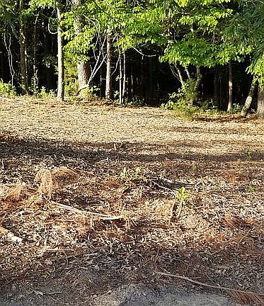 2nd image of 730 Private Road 3398