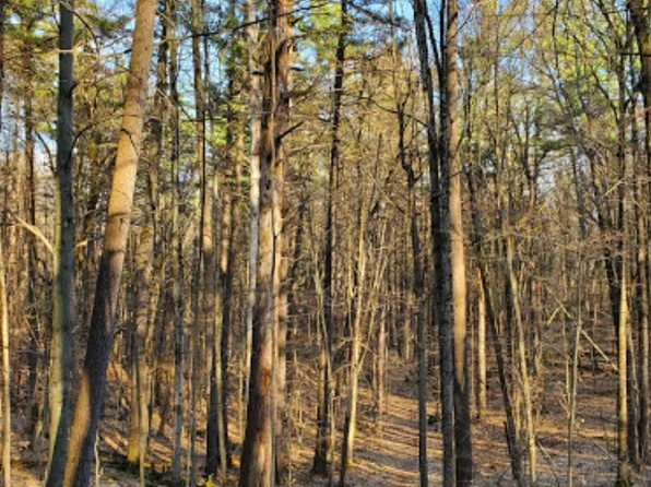 0 E Clear Lake Rd, West Branch, MI 48661