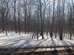 Wildwood Rd LOT 8, Wolverine, MI 49799