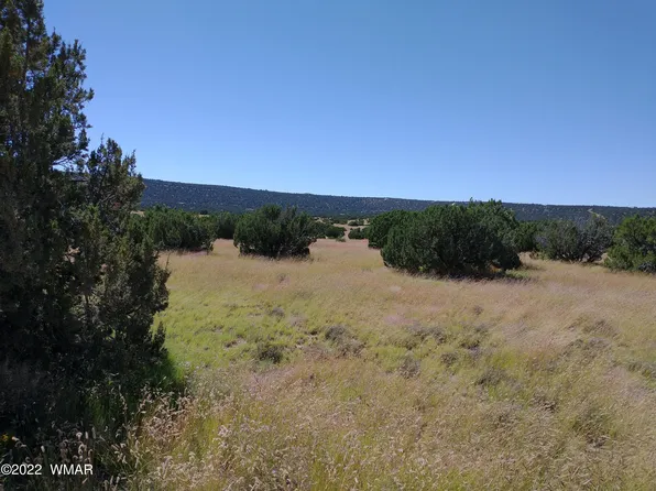 43 County Road 8014, Concho, AZ 85924