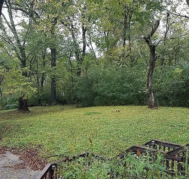 Side view from covered deck