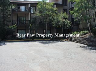 31270 John Wallace Rd APT 207, Evergreen, CO 80439