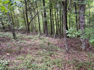 0 Davis Hollow Rd, Clifton, TN 38425