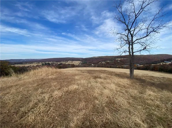 Highway 295, Wesley, AR 72773