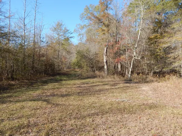 4885 Ennis Rd, Starkville, MS 39759