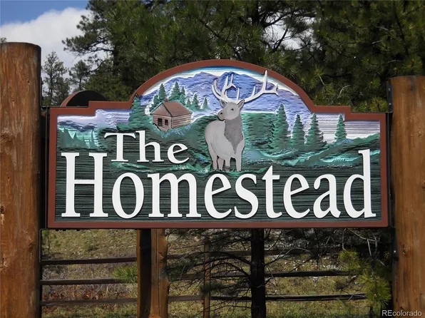 8216 Federation Drive LOT 12, Morrison, CO 80465