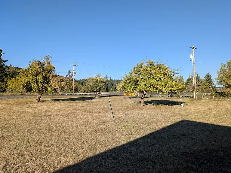 Spacious front yard with mature apple and pear trees that produce abundant fruit each year _ perfect for enjoying fresh harvests at home