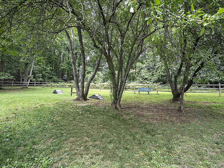 Dog Park