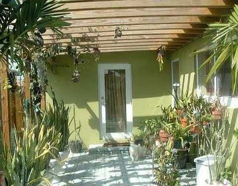 Arbor/Patio